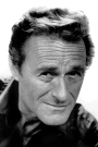 Dick Miller Film ve Dizileri