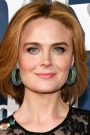 Emily Deschanel Film ve Dizileri